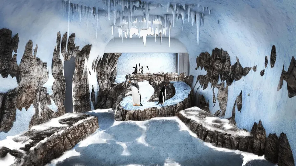 Dubai Aquarium &amp; Underwater Zoo &#8211; Penguin Encounter - Image 1