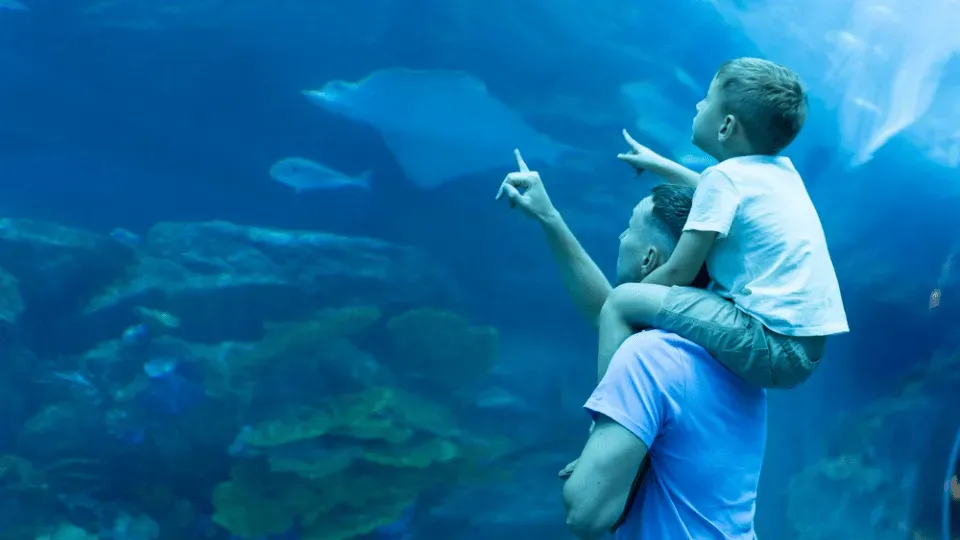 Dubai Aquarium &amp; Underwater Zoo &#8211; Ray Encounter - Image 1